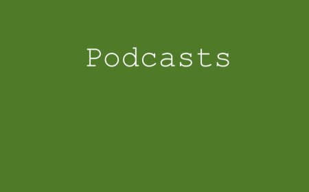 #5 - VERSTAPPEN VENCE E MCLAREN É DESCLASSIFICADA - ANÁLISE DO GP LAS VEGAS